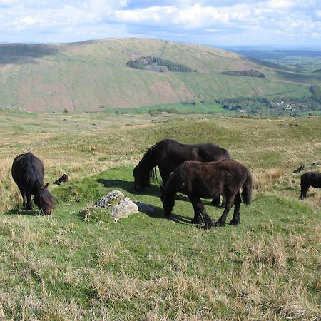 High Fold Guest House Troutbeck  Екстериор снимка