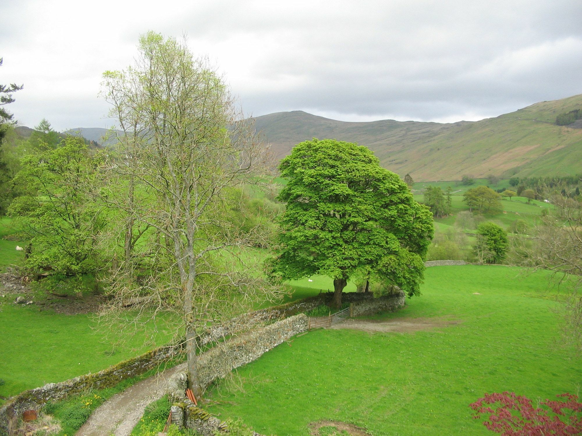 High Fold Guest House Troutbeck  Екстериор снимка