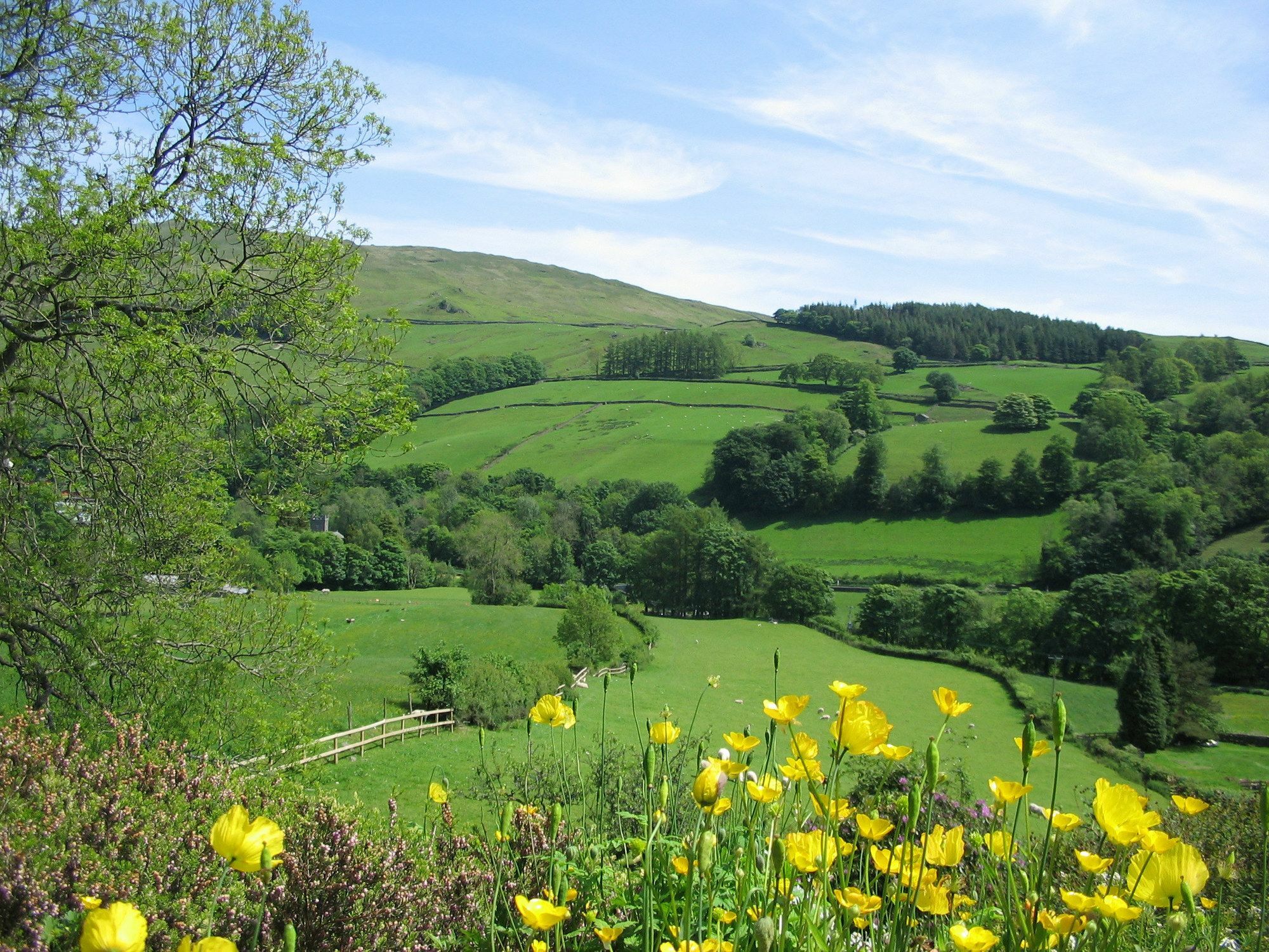 High Fold Guest House Troutbeck  Екстериор снимка