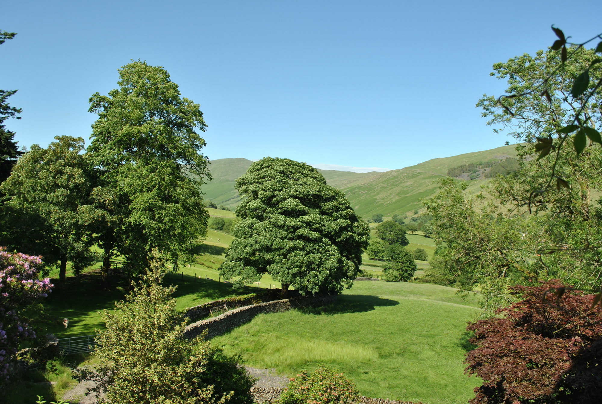 High Fold Guest House Troutbeck  Екстериор снимка